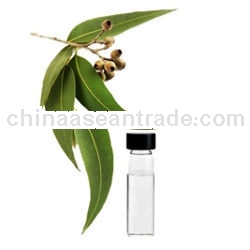 Eucalyptus Oil for Soap