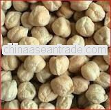 Evergreen quality Chick peas 42/44 For Argentina