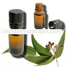 Export Eucalyptus Oil