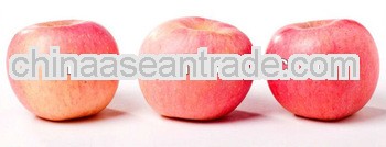 FRESH fuji apple