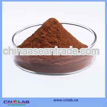 Factory Pricce Safflower Extract Powder