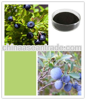 Factory Price Blueberry Extract Anthocyanosides