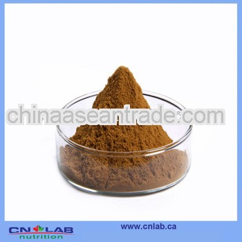 Factory Price Cortex Cinnamon Extract Powder