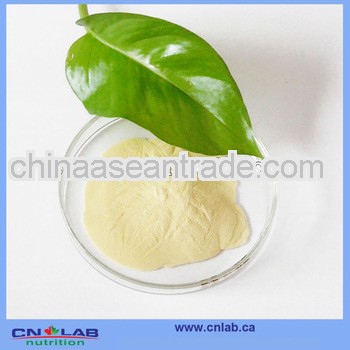 Factory Price Natural White Kidney Bean Extract