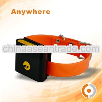 Factory Price mini chip gps tracker-----Waterproof GPS Bracelet Personal Tracker/Smallest GPS Tracke