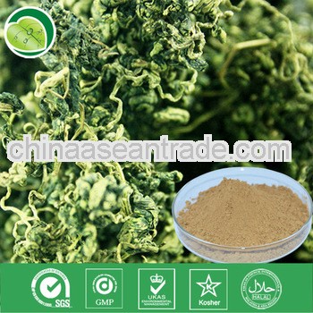 Fiveleaf Gynostemma Extract