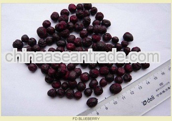 Freeze Dried blueberry