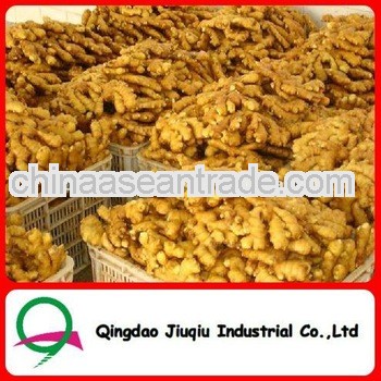 Fresh Chinese GingernFresh China Ginger Fresh Vegetable