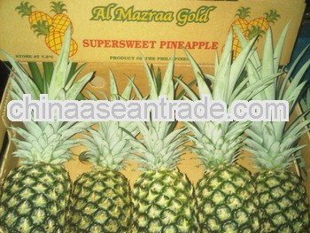 Fresh Pineapple- Variety MD2