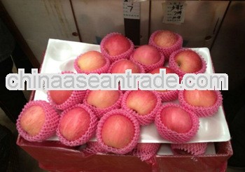 Fresh/Red 2012 yantai fuji apple