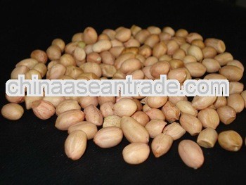 Fresh Stock Of Peanuts Egypt