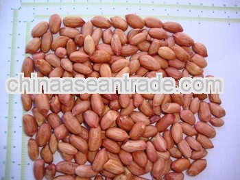 Fresh Stock Of Peanuts Samoa