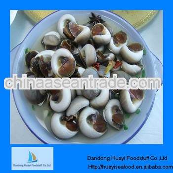 Fresh frozen new moon snail live snails