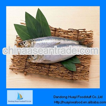 Fresh frozen sardine prices