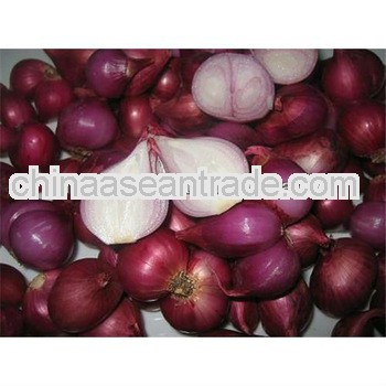Fresh red onion