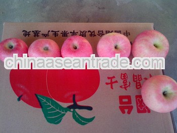 Fresh shandong delicious new season cheap red fuji apple