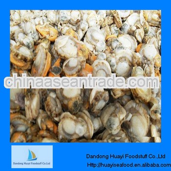 Frozen IQF sea scallop