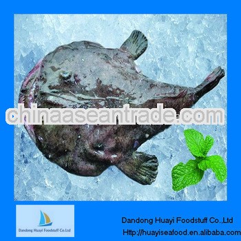 Frozen monkfish fish for sale