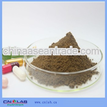 GMP/ISO/Halal Certificated 100% Natural Epimedium P.E Powder for Sex Drive
