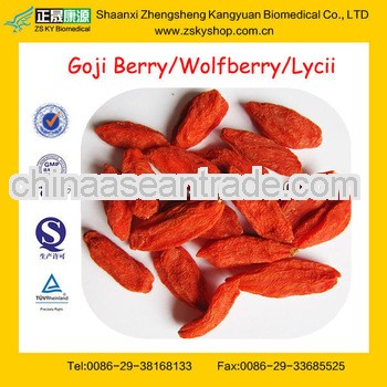 GMP Manufacturer Supply High Quality Dried Goji