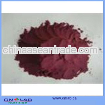 GMP Plant High Quality Cranberry Extract