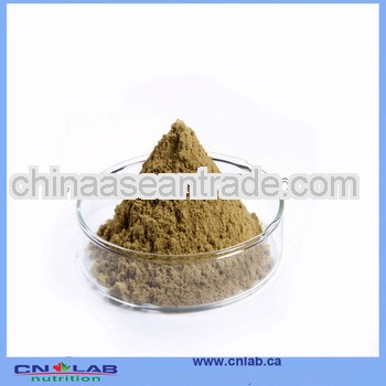 GMP Price Elecampane Inula Root Extracts