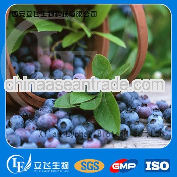 GMP factory Supply natural buleberry extract powder