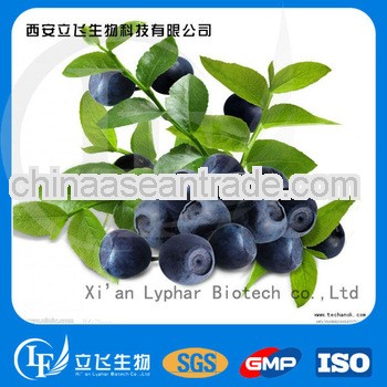 GMP factory Supply organic buleberry extract powder
