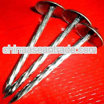 Galvanized Roofing Nails with Umbrella Head