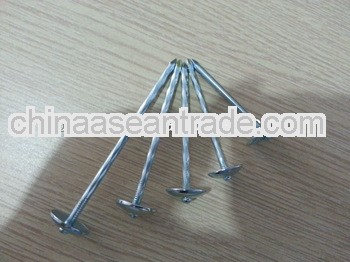 Galvanized Umbrella Head Roofing Nails Factory