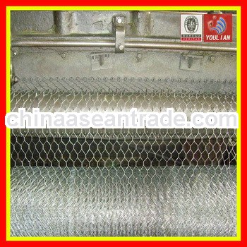Galvanized hexagonal wire net-1"