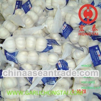 Garlic Price Per Ton From 