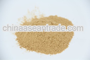 Ginger Powder
