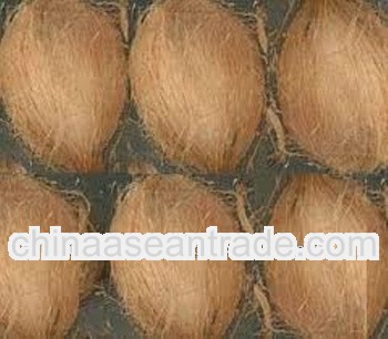Good Quality 550 Grams Matured Coconut Semi Husked