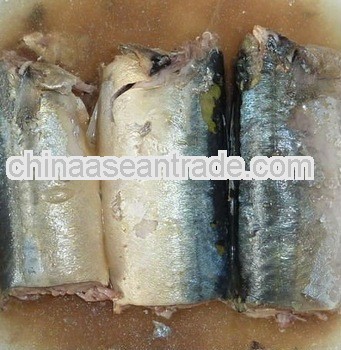 Good quality canned mackerel seafood