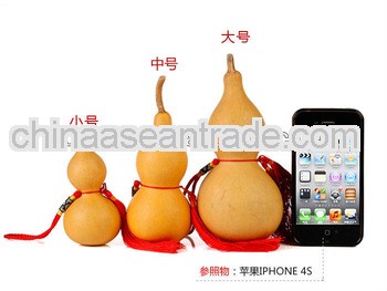 Gourds for sale gourds