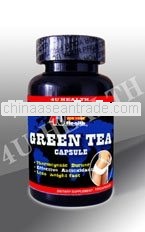 Green Tea extract capsule health food