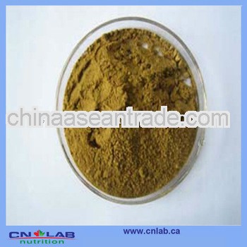 Gynostemma Pentaphylla Extract Gypenosides 98% UV