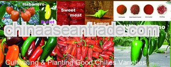 HACCP/ FDA Certified Spicy Red Capsicum-Red Chili & Sweet Paprika