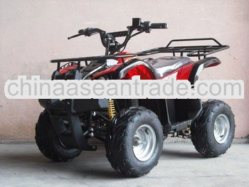 HDE-A4 500-800w 36V 17A Electric quad ATV bike