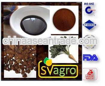 Halal certified Roasted Chicory Coffee Grain from India