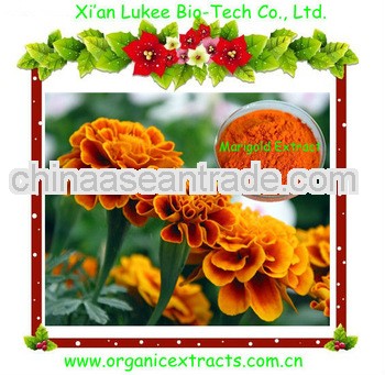 Health food marigold extract lutein/zeaxanthin