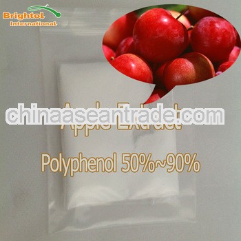 High Quality Apple Extract Powder