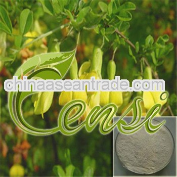 High Quality Genista Extract Powder