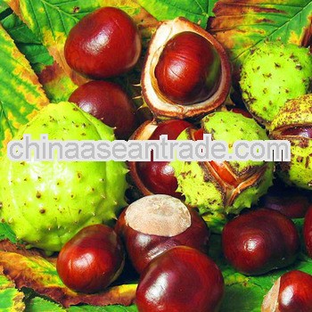 High Quality Horse chestnut extract
