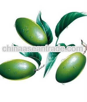 High Quality Oliver Leaf Extract