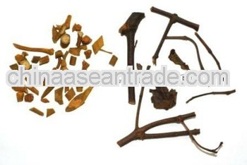 High Quality Ramulus Loranthi Extract