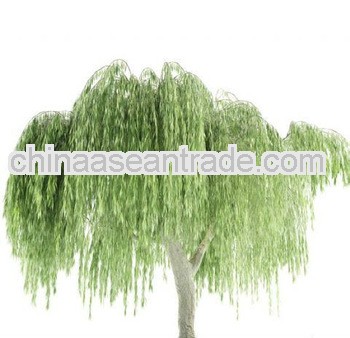 High Quality White Willow Bark P.E