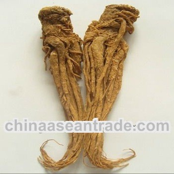 High quality Angelica 1% Ligustilides