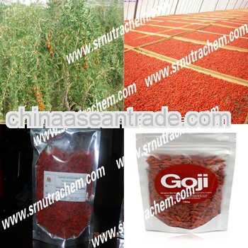 High quality Goji berry